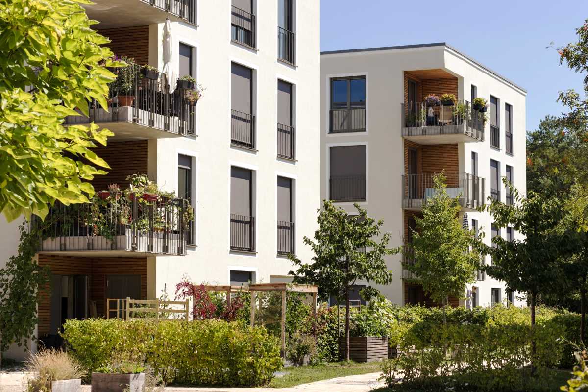 Leading Sustainable Materials that Elevate Urban Apartment Upgrades